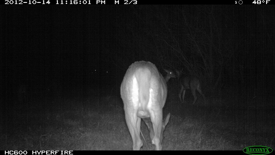 773-trailcam 2012 5392