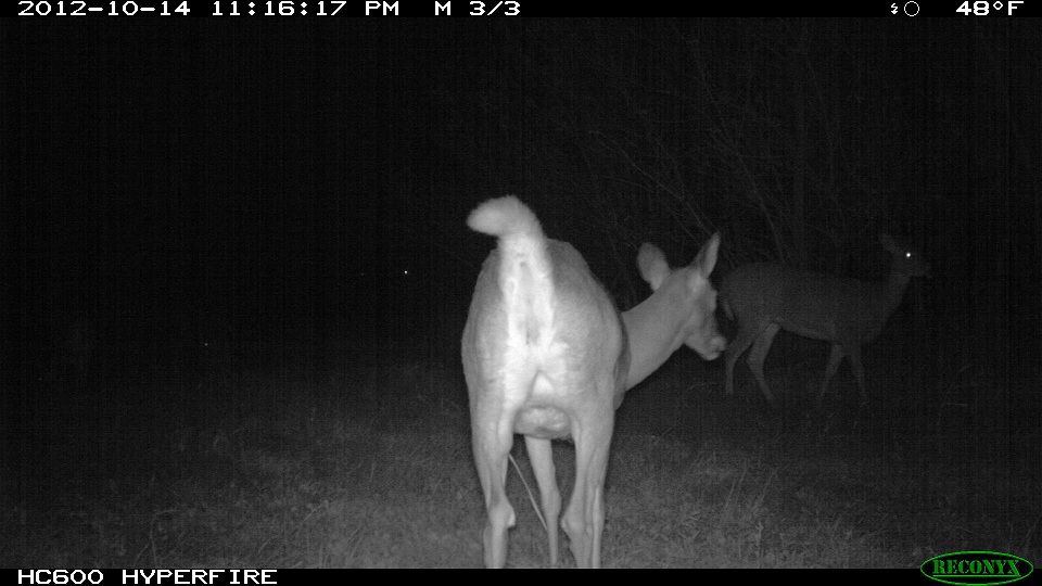 773-trailcam 2012 5492