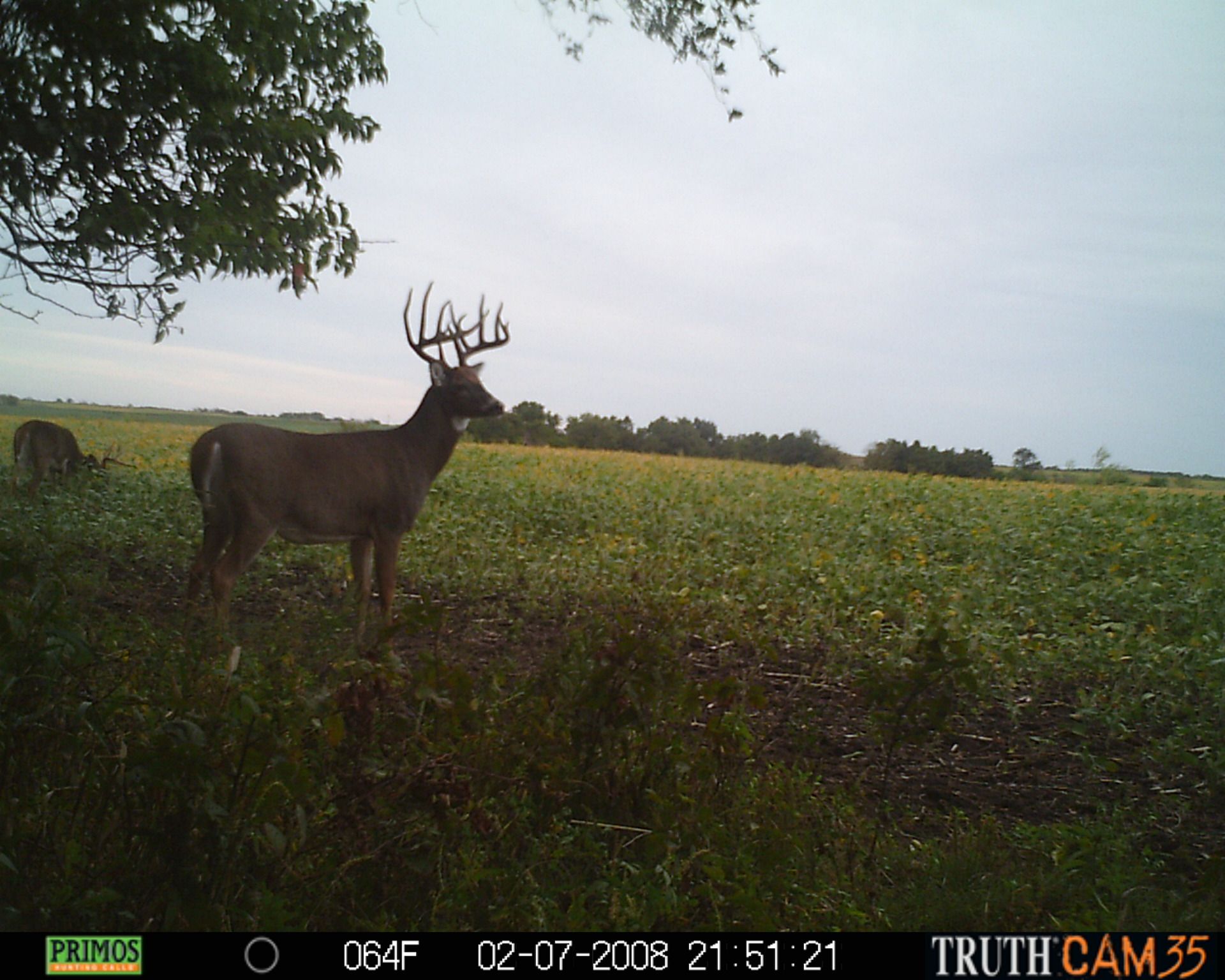 7x6 Day Pics