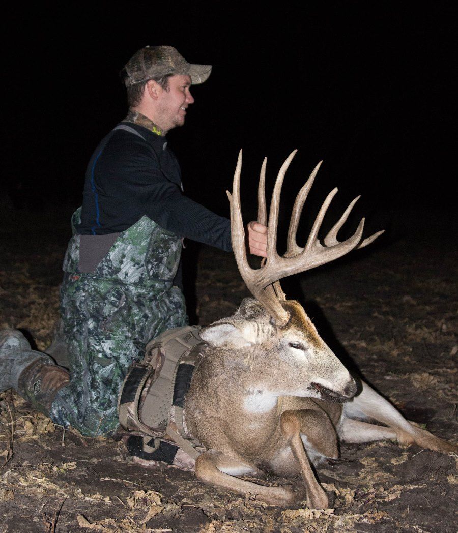 A Buck, FB 1