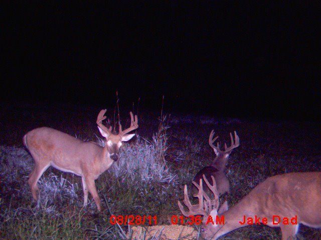 A Few Pics From 2011