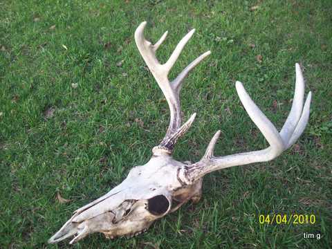 Almost A 10 Point.