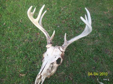 Almost A 10 Point.