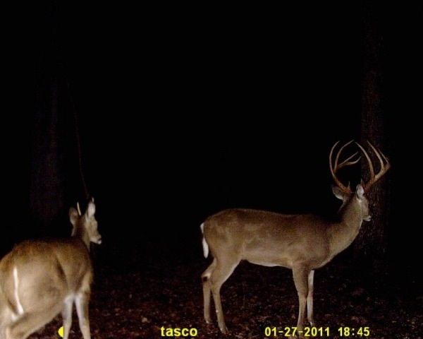 Another public land history buck.
