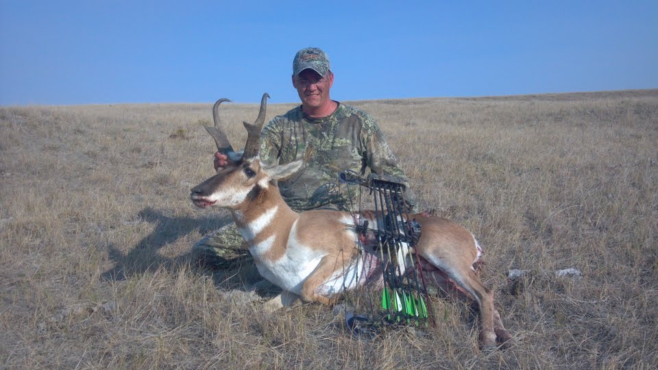 Antelope 2012