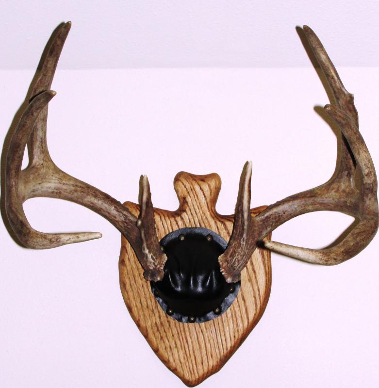 antler 2
