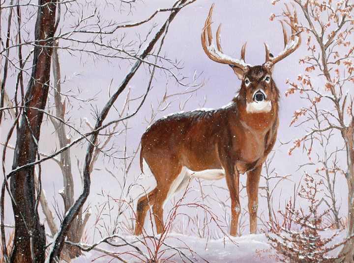 art.buck web