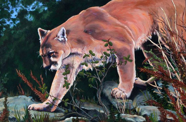 art.oil.lion web