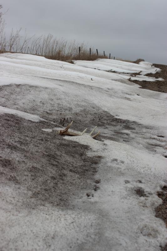 ATL -- snowmelt surprise.  Wonder if the match is still underneath.