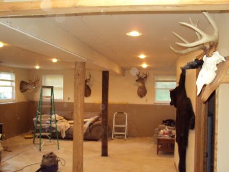 Basement1