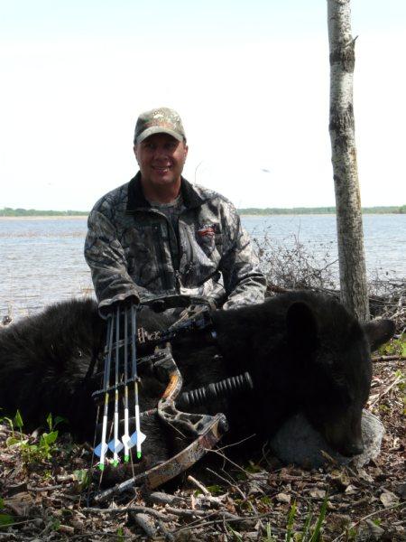 Bear1