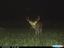 Beaver Damn Big 8 2012