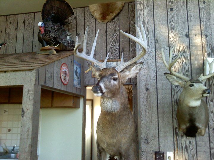 Before I painted the rack