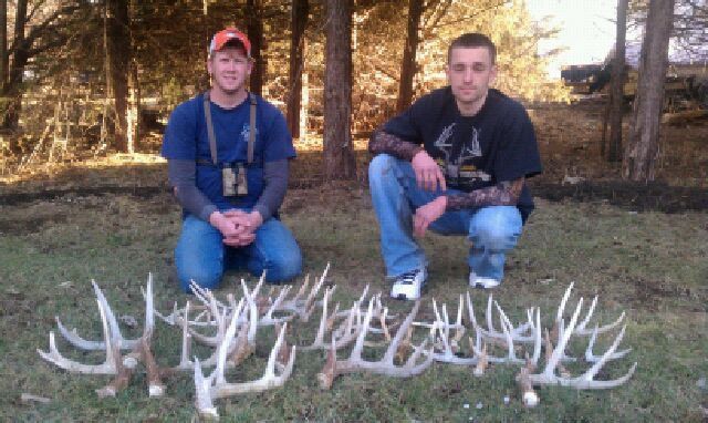 Best shed day