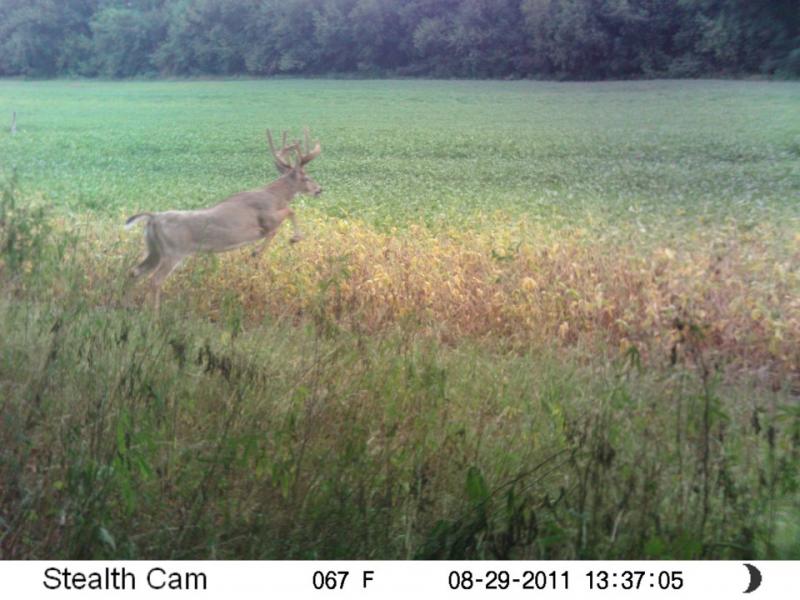 Big 8
