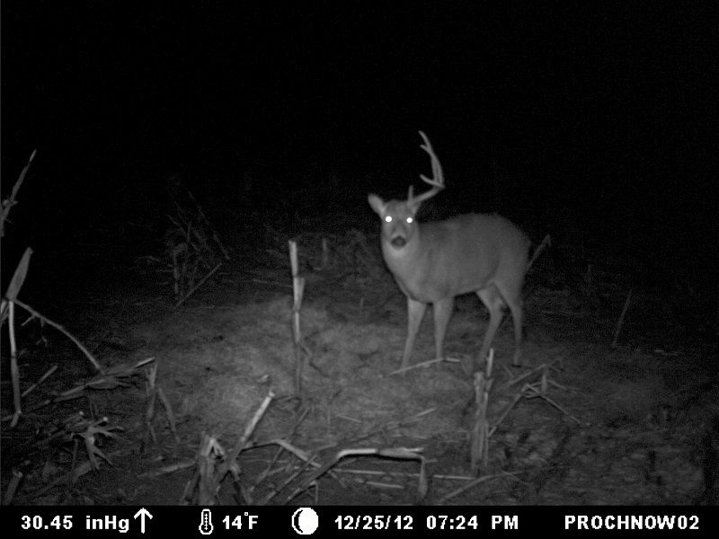 Big 8