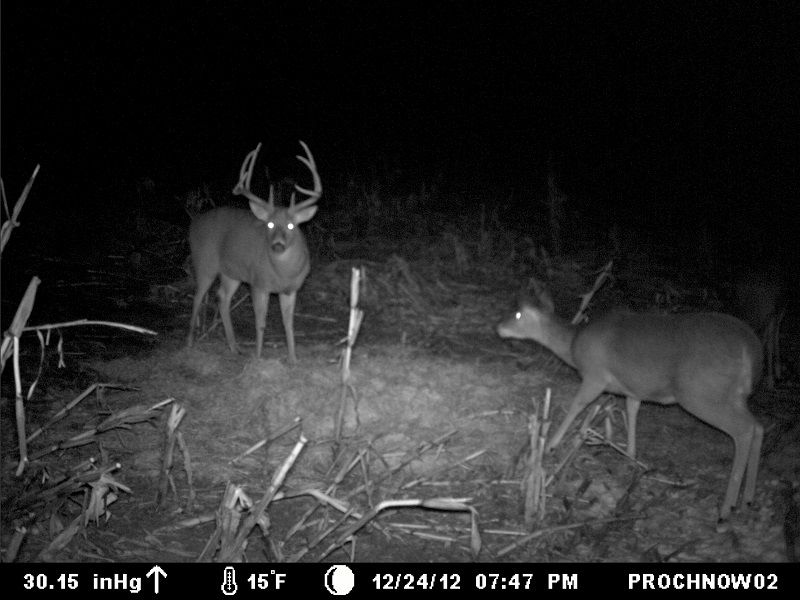 Big 8