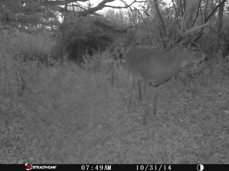 Big 9