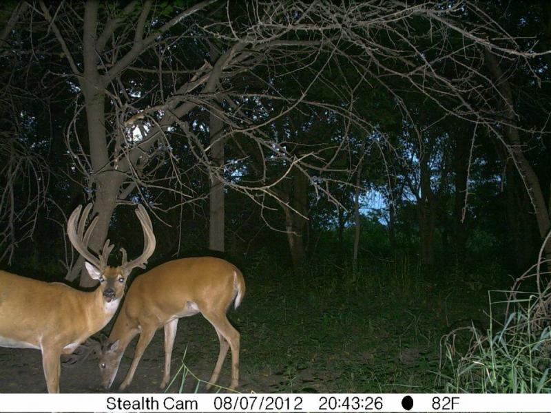BIG BOY 2