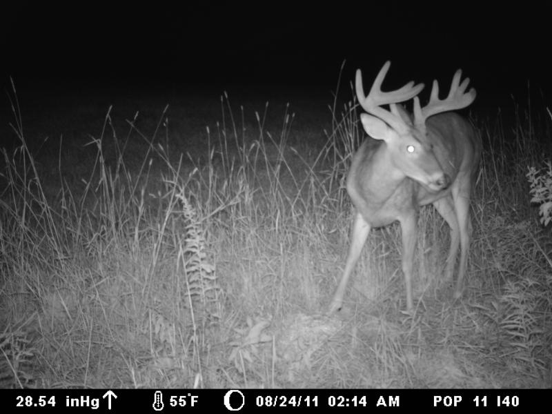 Big Boys 024