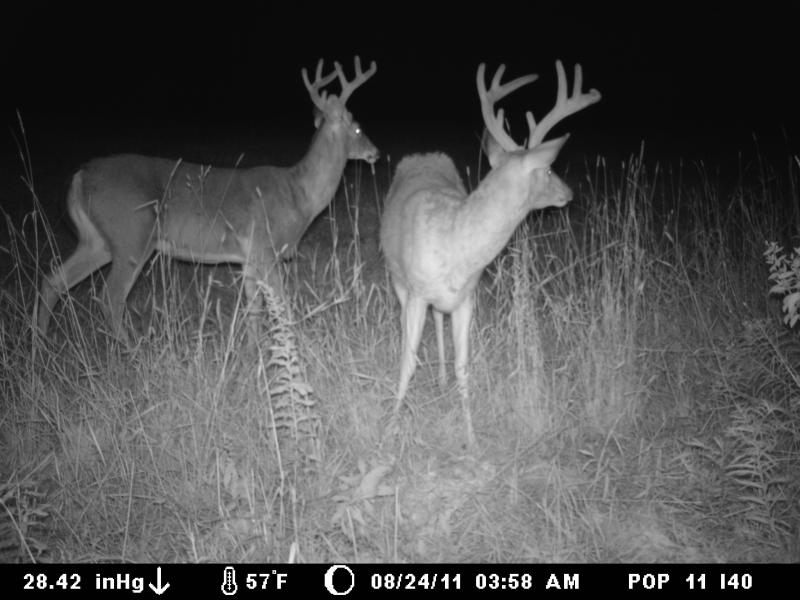 Big Boys 055