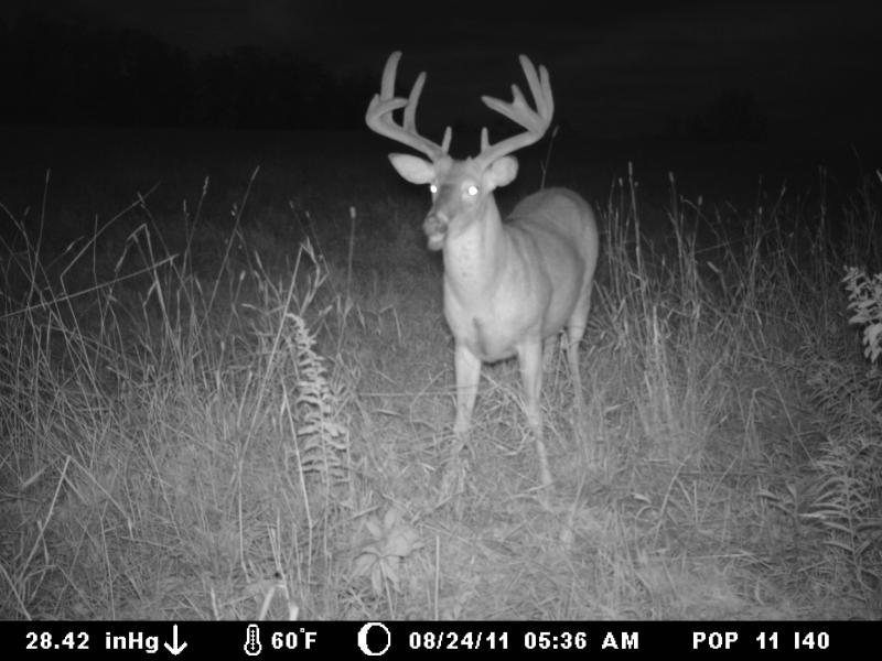 Big Boys 101
