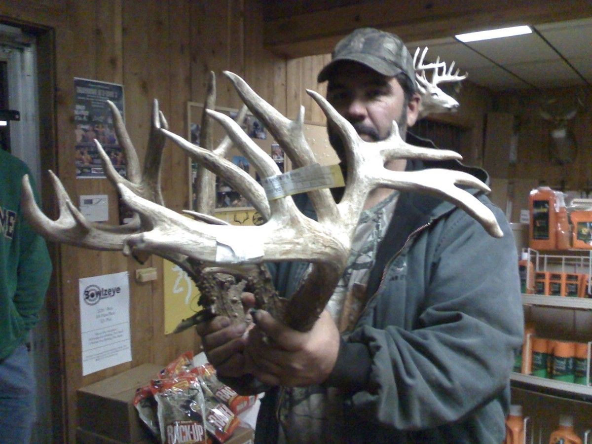 Big Buck