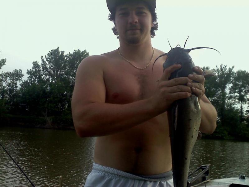 BIG CHANNEL CAT
