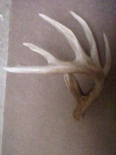 big shed 2013 80 inches