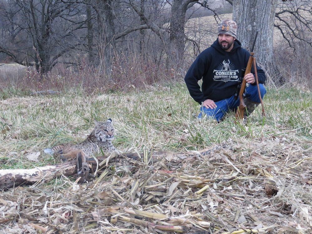 Bobcat 2013 2