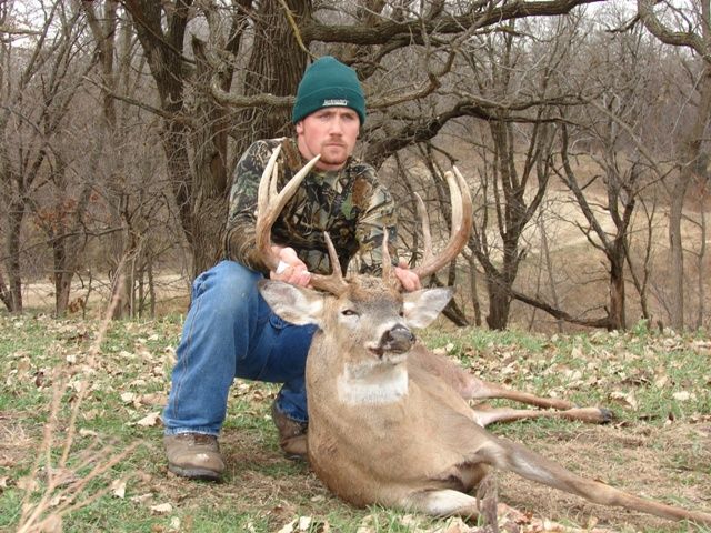 bow buck 2006   gross 144 3/8