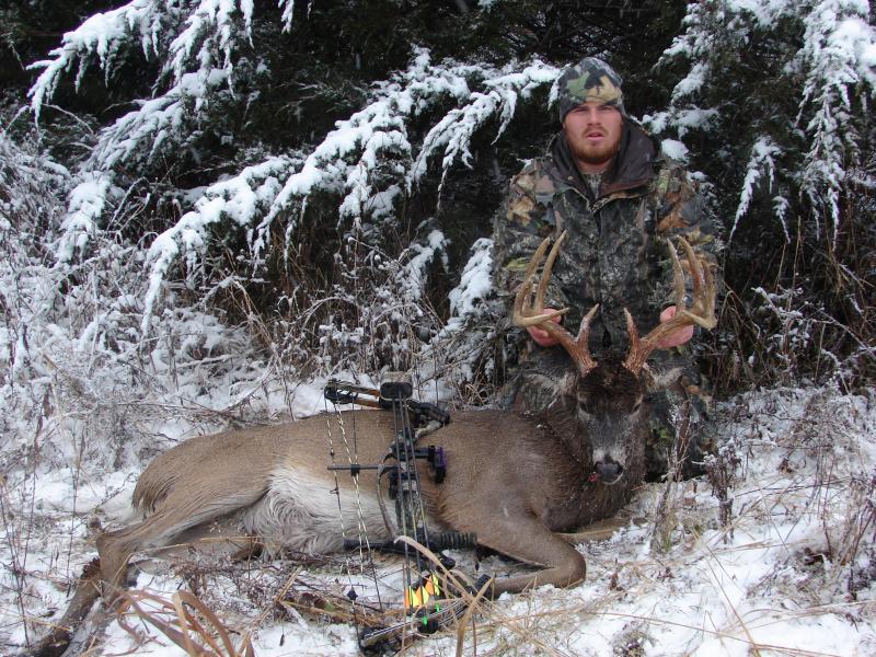 Bow Buck 2008