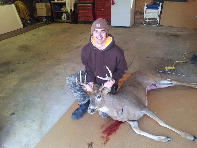 bow deer
