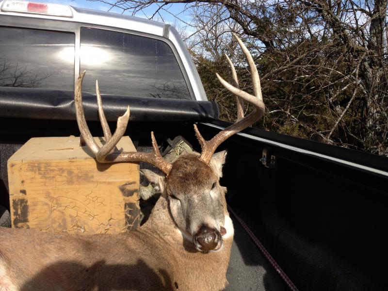 Buck in the Truck!