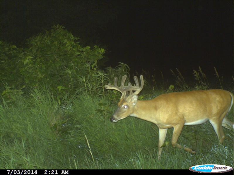 Buck2