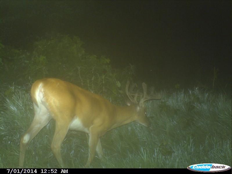 Buck2