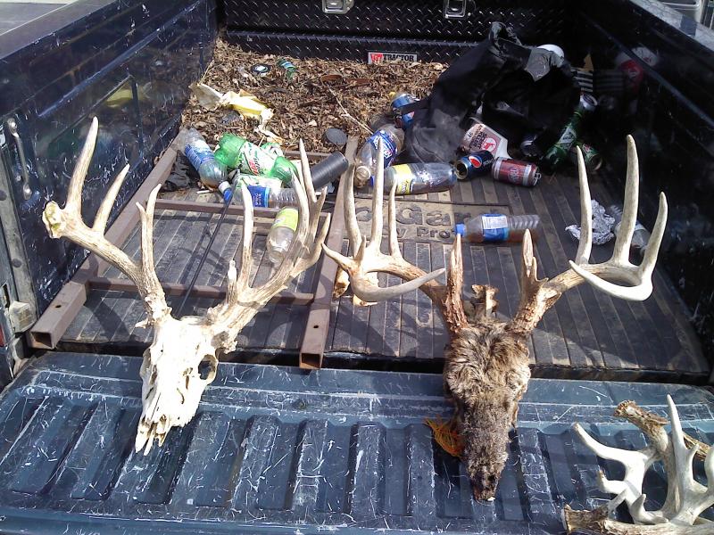 Bucks