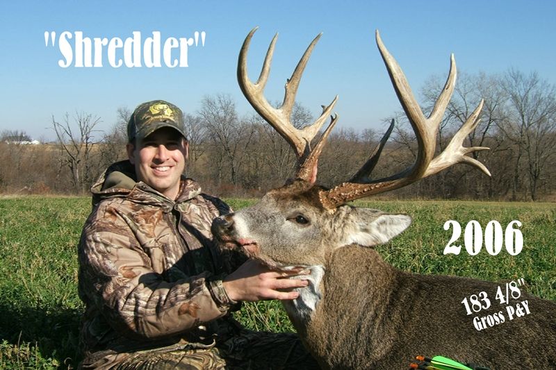 Bucks