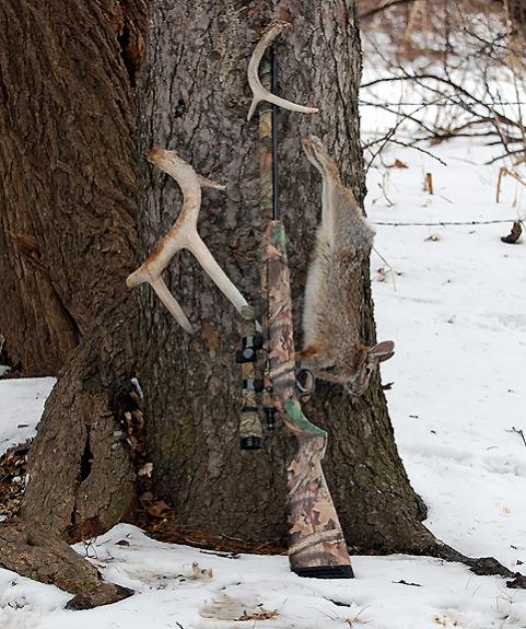 Bunny Hunt: last day of rabbit season Feb. 2009. Harvested with a Knight .36 muzzleloading rifle.

The two sheds were a bonus during this hunt.