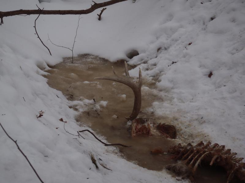 buried