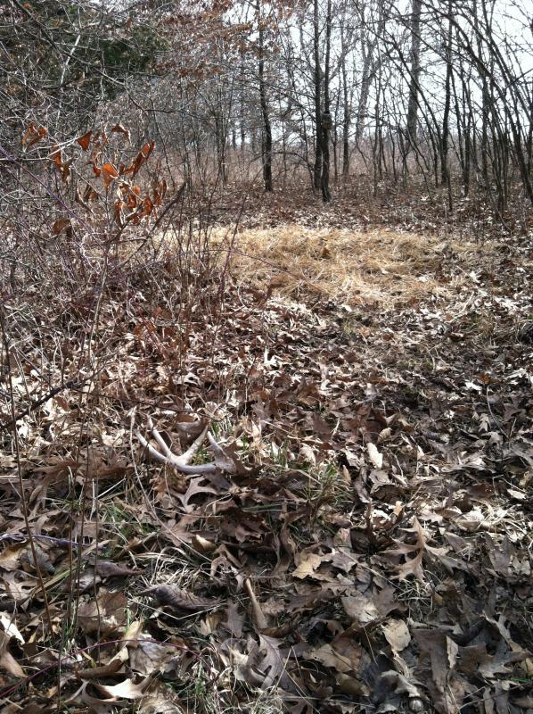 Camera in back ground. Shed in forground