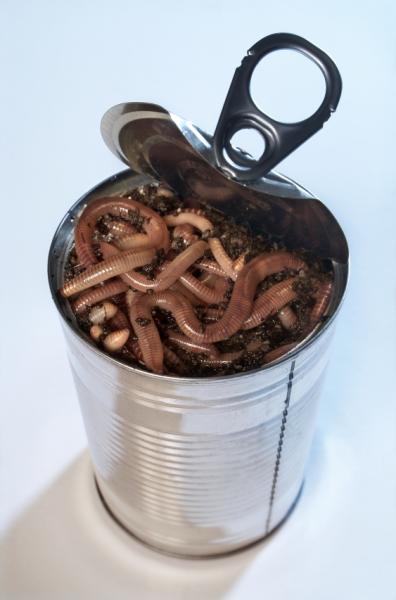 canofworms