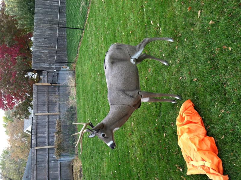 Carry Lite Decoy