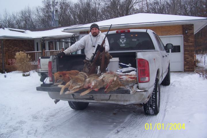 coyote killer