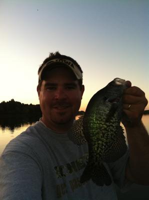 Crappie