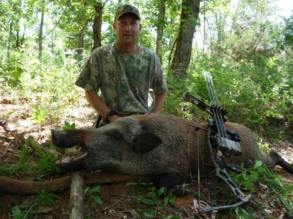 Critter's Boar "JD" 2