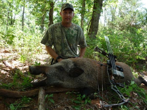 Critter's Boar "JD" 3