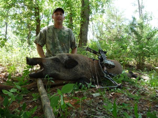 Critter's Boar "JD" 4