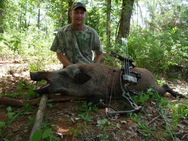 Critter's Boar "JD"