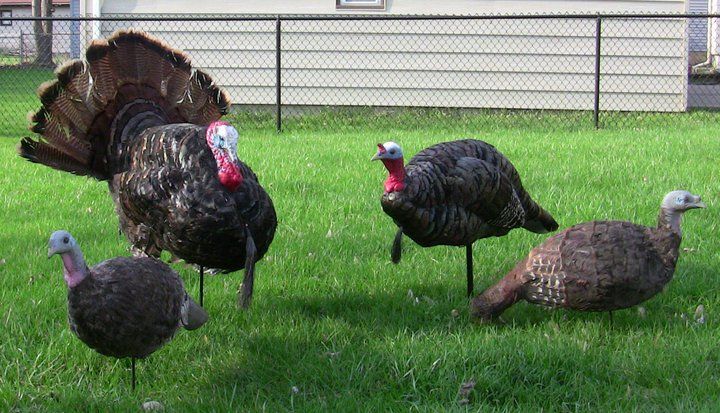 Custom decoy spread